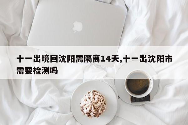 十一出境回沈阳需隔离14天,十一出沈阳市需要检测吗