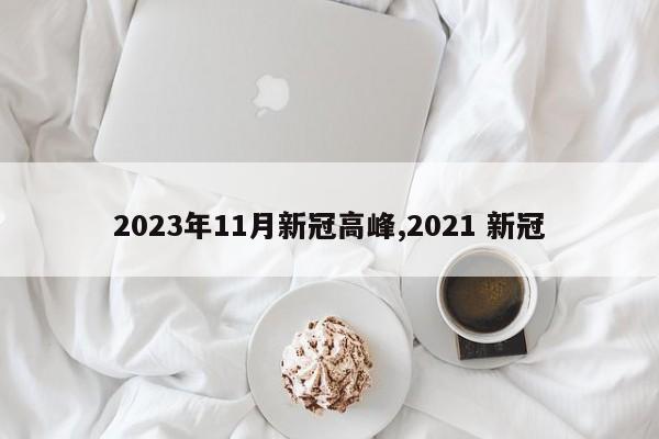 2023年11月新冠高峰,2021 新冠