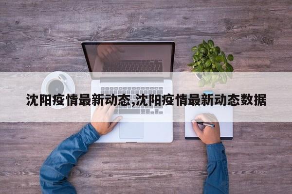 沈阳疫情最新动态,沈阳疫情最新动态数据