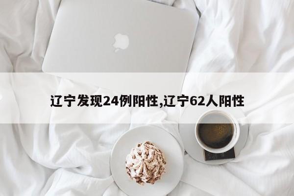 辽宁发现24例阳性,辽宁62人阳性